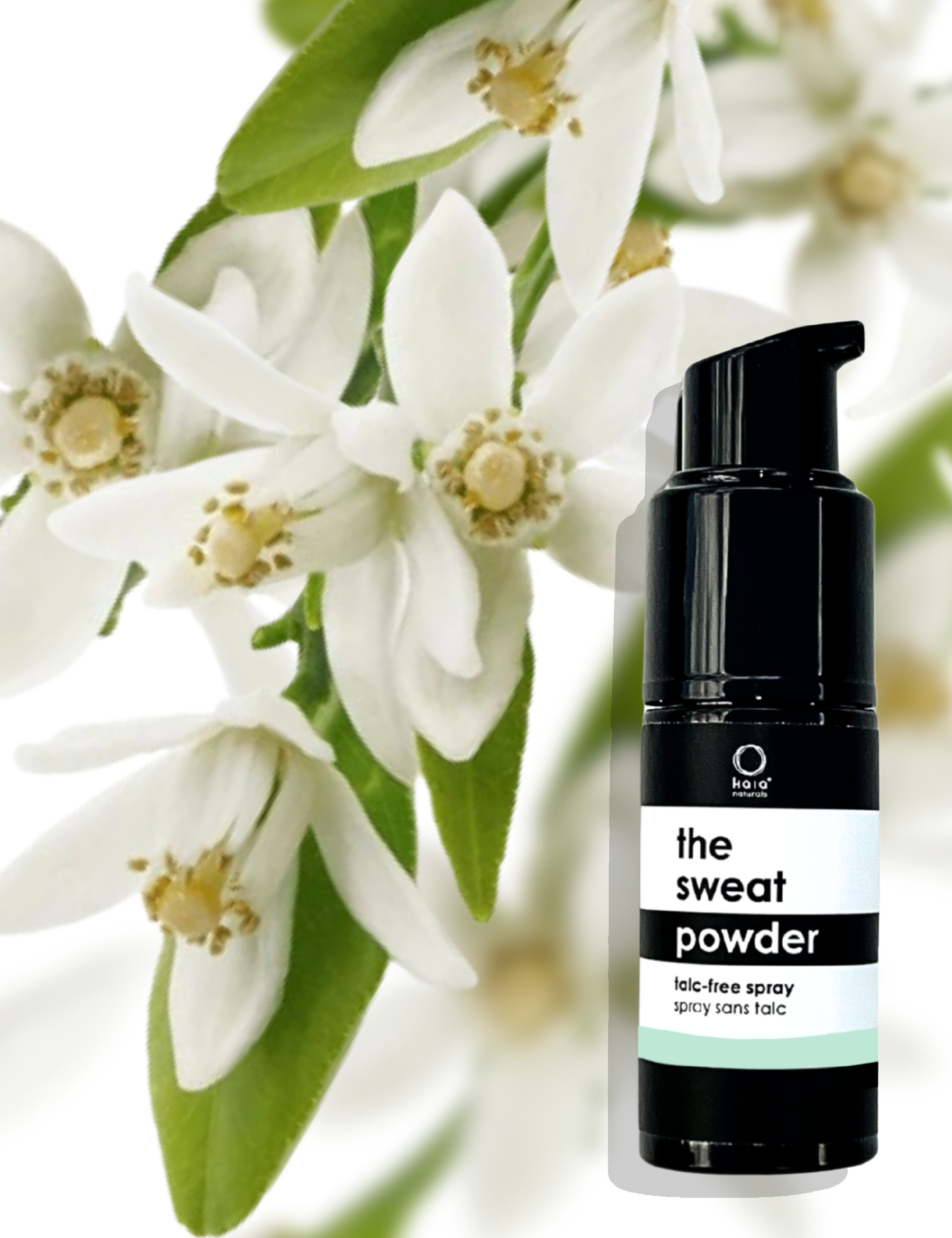 CRISP LINEN THE SWEAT POWDER SPRAY